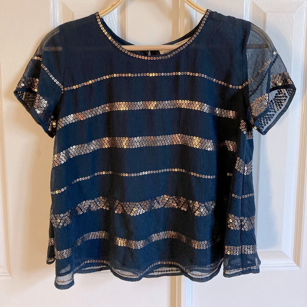 Striped sequins embroidered blouse